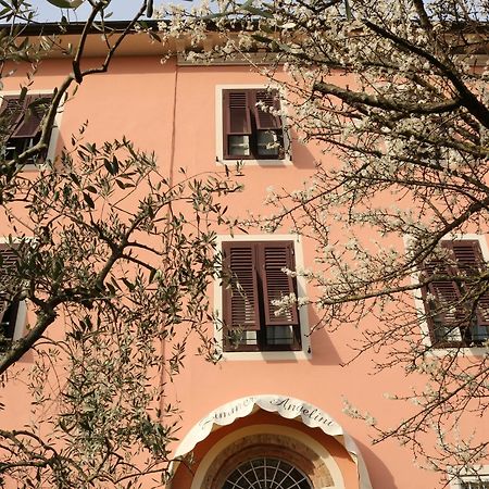 Hotel Angelini Dal 1911 Lucca Exteriér fotografie